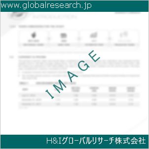グローバルリサーチ調査資料のイメージ